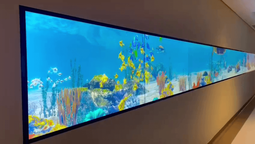 Suleman Al Habib Hospital    Interactive Aquarium Video Wall